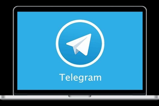 Telegram 防止内部人盗窃的机制